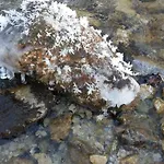 Schelchen 아파트 Hollenstein an der Ybbs