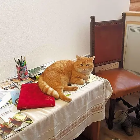 Schelchen Apartamento