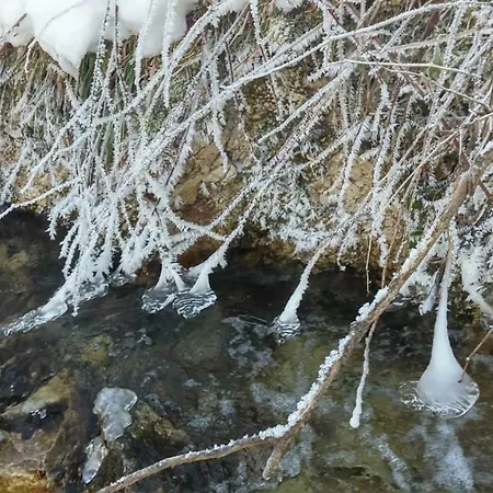 Schelchen * Hollenstein an der Ybbs