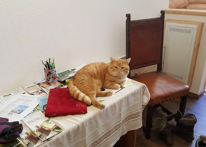 Schelchen * Hollenstein an der Ybbs