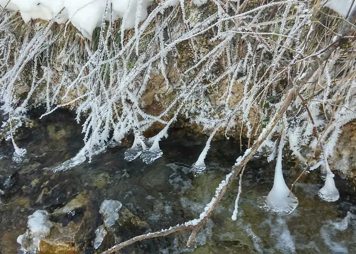 Schelchen * Hollenstein an der Ybbs
