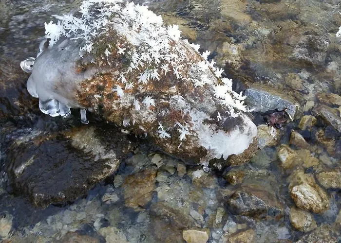 Schelchen Lejlighed Hollenstein an der Ybbs