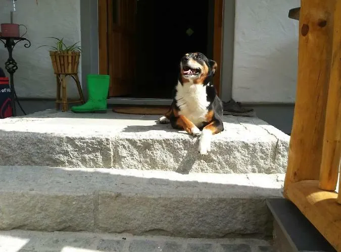 Lejlighed Schelchen Hollenstein an der Ybbs